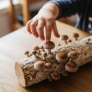 엄마밥상 반찬 이미지