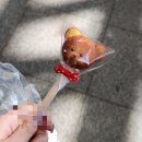 야외마당 콘서트 2회차 | '우화'하게 '비행' 따라가기 | 2026 솔루션스 전국투어