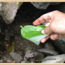 깊은산속 이미지