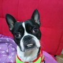 봉래할인마트 이미지