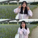 (주)오리진스튜디오 | 6월1째주ㅣ효자역 신곡새빛정원 수레국화ㅣ논산 선샤인스튜디오 선샤인랜드ㅣ익산 아가페정원ㅣ슬로우...