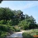 영풍두월리약사여래석불 이미지