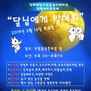 신탄진 현도교밑 네이버블로그