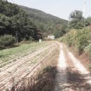 한주농장 이미지