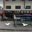 왕장3리 Daum카페