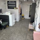 애견미용실 꽃개 이미지