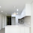 백송한신@ 이미지