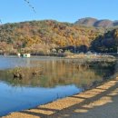 소금랜드 이미지