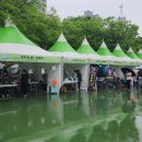 천년나무행복작은도서관 이미지