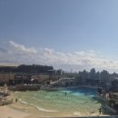 제주인더월드(주) | 제주도 여행 서귀포 1일차 고모네돔베/노바운더리제주/제주신화월드 스카이풀 후기