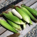 영석농장 이미지