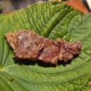 신흥정육점식당 이미지