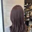 6267 | 신촌역미용실 박승철헤어스투디오 신촌점에서 레드바이올렛/ 블랙커런트 염색 후기