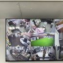 도그하우스 애견샵 이미지