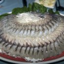회한사라 이미지