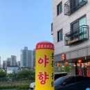 야향 이미지