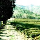 푸른사랑병원 이미지