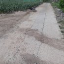 화산면601 이미지