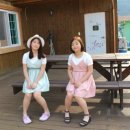 동강리버스타 이미지