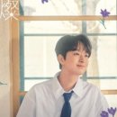 찬란한 인생 이미지