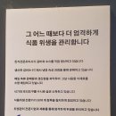 원주 맛집 두툼한 오겹살 껍항정이 맛있는 무실동 청담생고기 가족 외식 모임 장소로 추천 해요!