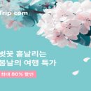 트립플러스 이미지