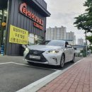 타이어1983동부산점 이미지