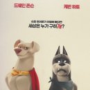 댕댕슈퍼