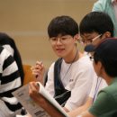247미디어