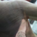 수완현대주유소 이미지