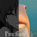 동부분소 | 불꽃 거지의 4월 첫째 주 일상기록