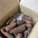 옥자농장 | 농라(농라에프) | 옥자농장 못난이 당근 후기