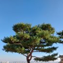 경성사