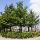 두릉3리마을회관 이미지