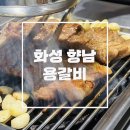 화성 향남2지구 갈비 맛집 ‘용갈비‘ 방문 후기