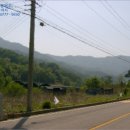 텃골천 이미지