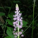 근흥중학교 이미지