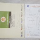 시바견 분양 루이몽 강남본점 이미지