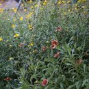 태경농장 이미지