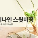 뷰티나인