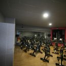 비비헬스클럽 이미지