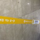 잉어킹낚시카페 이미지