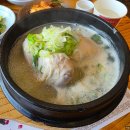 일산정 삼계탕 이미지