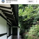 야생화마을펜션민박 이미지