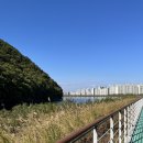 도원게이트볼장 이미지