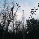 관악산길 이미지