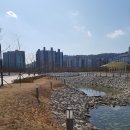 텐퍼센트커피마산해양공원점 네이버블로그