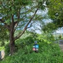 하늘꼬마키즈풀빌라 이미지