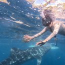 금마길 | 전주프리다이빙 세부여행 가기 전 스노쿨링 교육 폴인다이빙