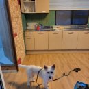 길안다슬기캠프 이미지